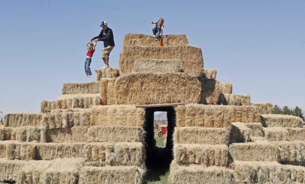 Pumpkin Patch and Farm Festival